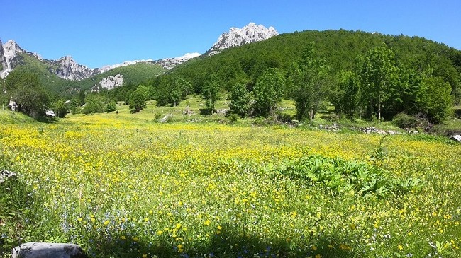 Moti sot dhe dy ditë ardhshme në vendin tonë