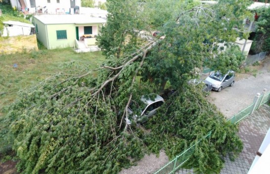 Shëngjini goditet nga erëra të forta dhe reshjet e shiut