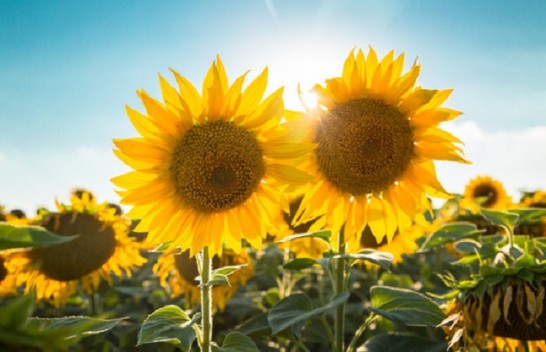 Moti në Maqedoninë e Veriut me diell dhe temperatura deri në 35 °C