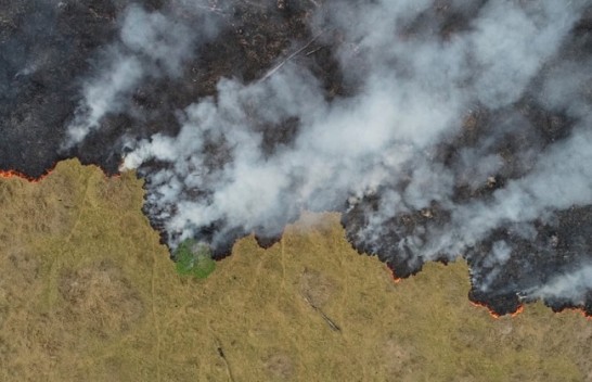 Zjarret në Amazonë një katastrofë mjedisore [Foto]