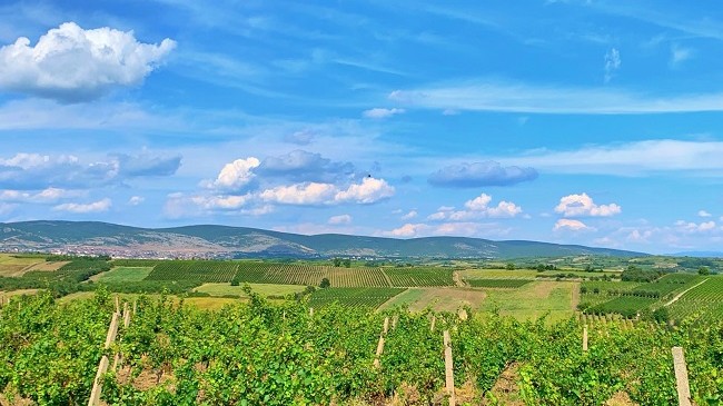 Moti për javën e parë të shtatorit në Kosovë