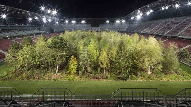 Pyll në mes të stadiumit - mesazh sensibilizues për mbrojtjen e mjedisit