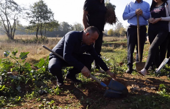 Për një Deçan të pastër, fillon mbjella e 10 mijë fidanëve