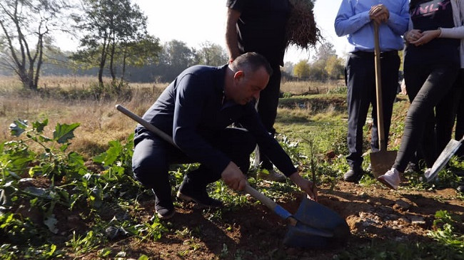 Për një Deçan të pastër, fillon mbjella e 10 mijë fidanëve