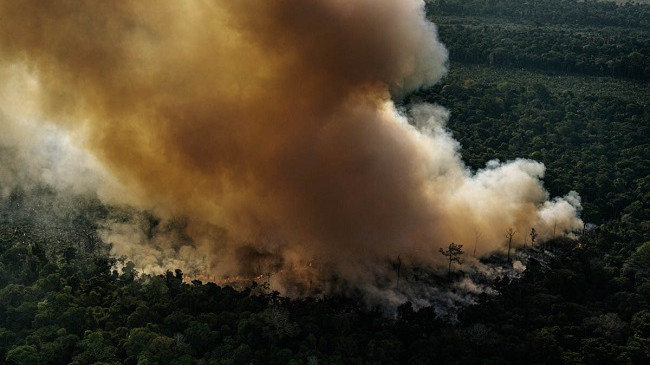 Në Foto: Fiset indigjene duke luftuar për të shpëtuar Amazonën