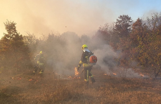 Zjarret s'kanë të ndalur, flaka përfshin malet e Meshinës në Kamenicë