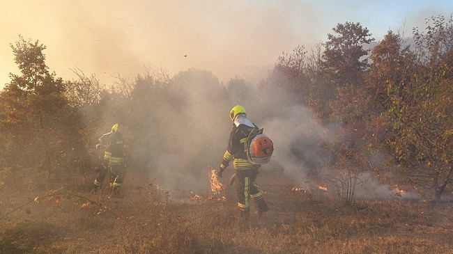 Zjarret s'kanë të ndalur, flaka përfshin malet e Meshinës në Kamenicë
