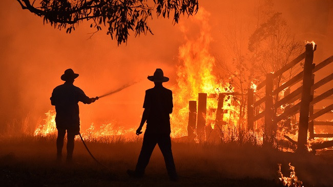 Në foto: Zjarret në Australi