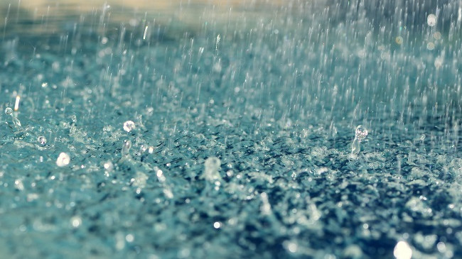 Mesatarja e reshjeve të shiut për muajin dhjetor në qytete europiane, Prishtina dhe Tirana në mesin e tyre