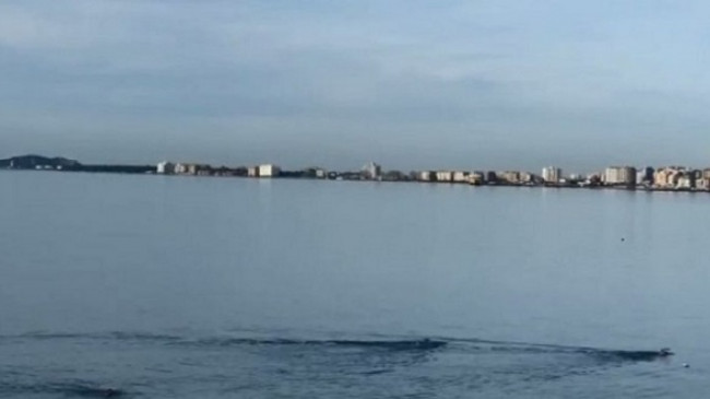 Plazh në dhjetor!