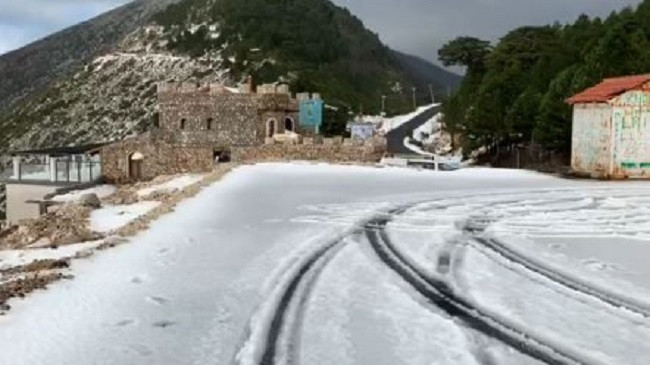 Llogora zbardhet nga bora