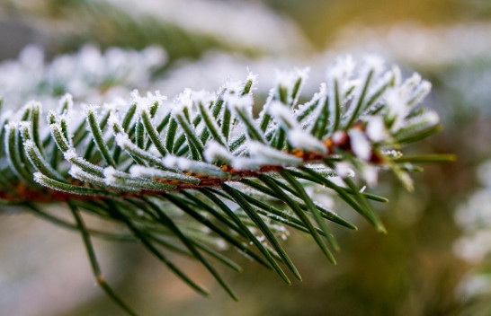 Parashikimi i meteorologëve për sot dhe nesër në Kosovë