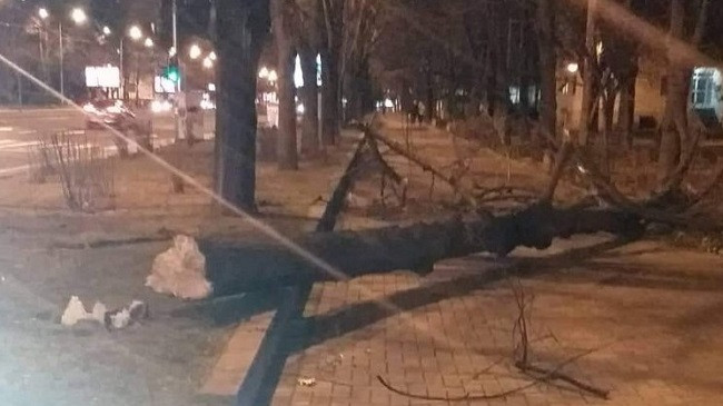 Erërat e forta shkulin pemë dhe tabela në Shkup [Foto]
