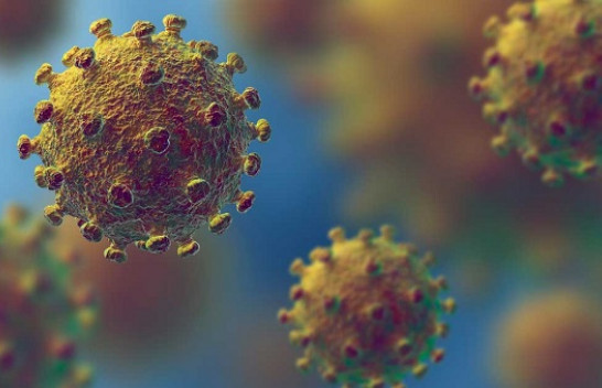 Rezultati i pacientes është negativ për coronavirus