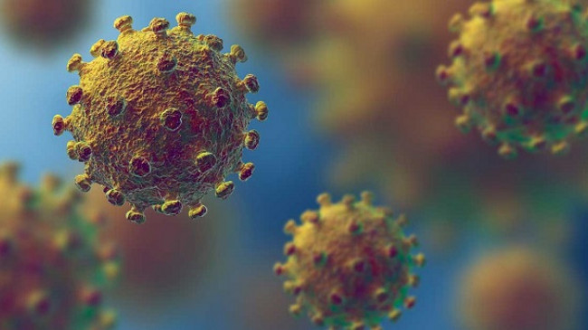 Rezultati i pacientes është negativ për coronavirus