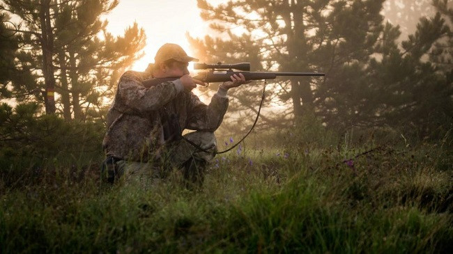 Kosovë, mbyllet sezoni i gjuetisë për periudhën 2019-2020
