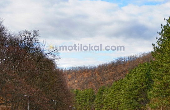 Çadrat me veti, moti sot me reshje shiu në Kosovë