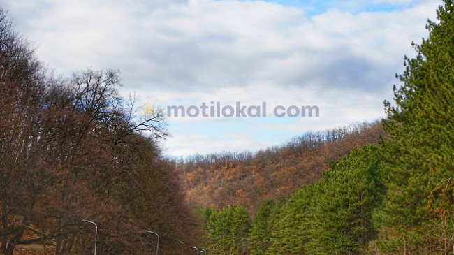 Çadrat me veti, moti sot me reshje shiu në Kosovë