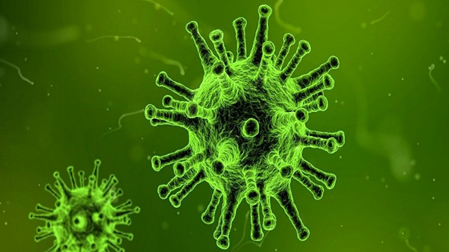 Instituti i Shëndetësisë: Në Kosovë asnjë rast pozitiv me koronavirus