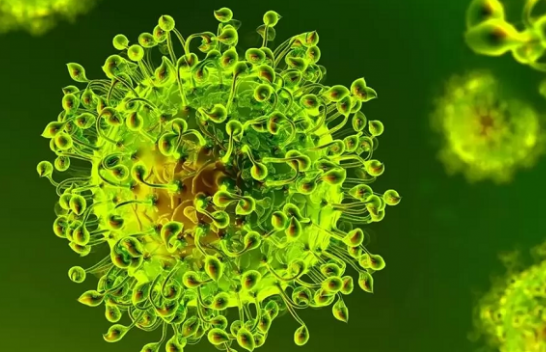 Instituti i Shëndetësisë: Janë testuar 58 mostra të dyshimta, asnjë pozitiv me koronavirus