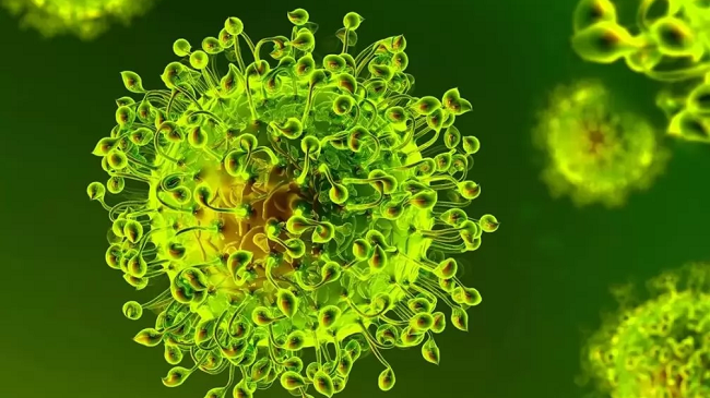 Instituti i Shëndetësisë: Janë testuar 58 mostra të dyshimta, asnjë pozitiv me koronavirus