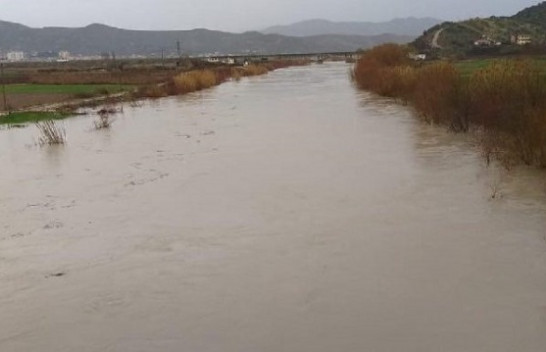 Reshje të dendura shiu - Del nga shtrati lumi Shkumbin, përmbytet Elbasani