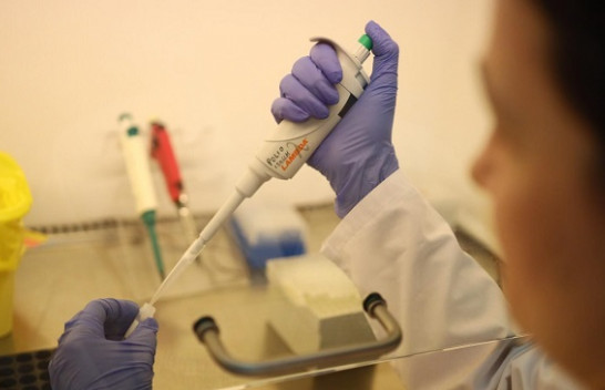 Në Shqipëri nuk ka koronavirus
