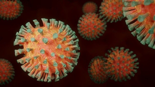 Shënohen edh dy raste të reja me koronavirus, shkon në 88 numri i të infektuarve në Kosovë