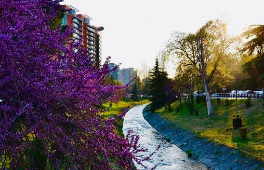 Java nis me diell, nga e marta reshje shiu në Shqipëri