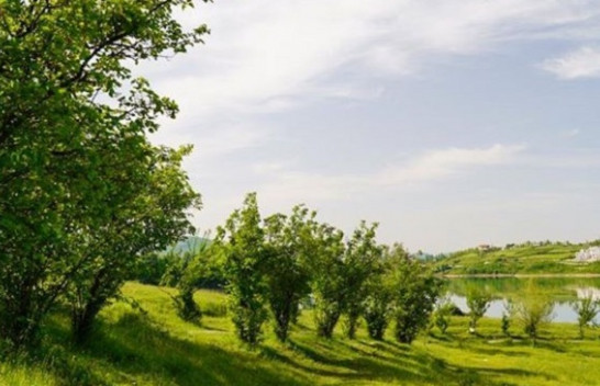 Vjen i nxehti afrikan, temperatura deri në 33 °C në Shqipëri