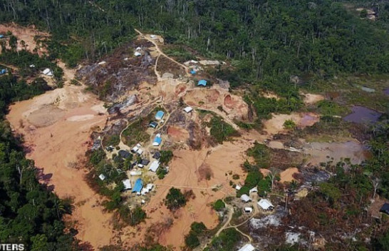 Ekologu brazilian paralajmëron: Nga pyjet e shiut në Amazon mund shpërthejë një virus i ri
