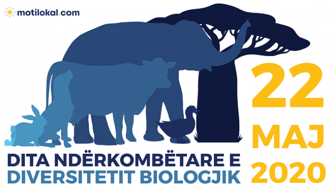 22 Maj, Dita Ndërkombëtare e Diversitetit Biologjik - Çdo zgjidhje gjendet në natyrë!