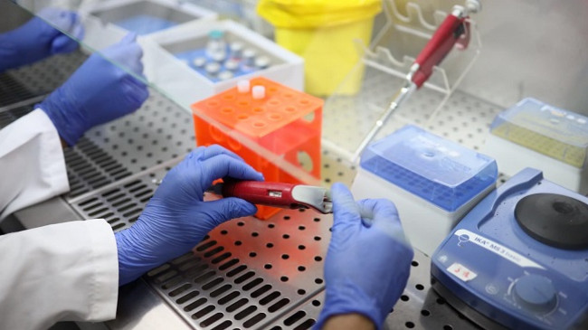 Gjashtë raste të reja me koronavirus dhe dy të shëruar në Kosovë