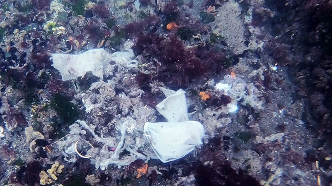 Ndotja që vjen nga COVID-19/ Maska, dorëza në ujërat e Bosforit