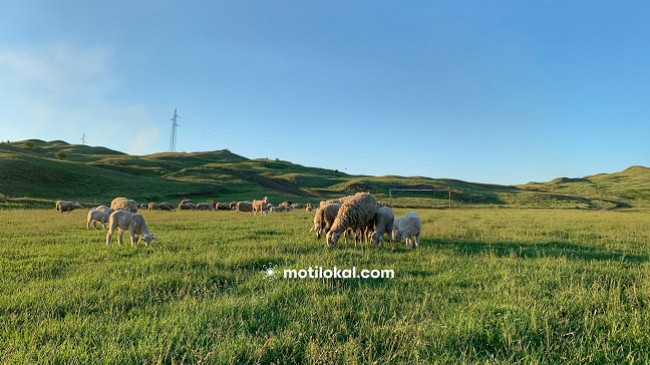 Moti, këto janë temperaturat për sot dhe fundjavë në Kosovë