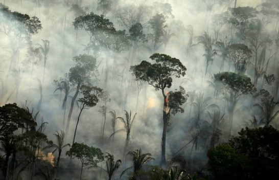 Zjarret në Amazonë shënuan rekord në muajin qershor