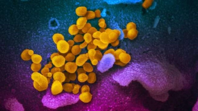 Mutacion i ri ndihmon koronavirusin të përhapet më shpejt