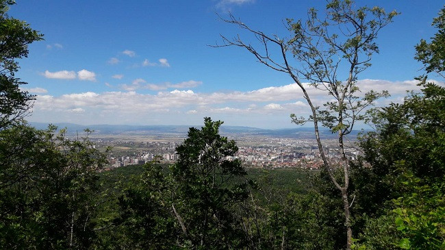 Mot me diell dhe pjesërisht i vranët në Kosovë