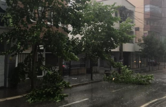 Shi, breshër dhe erëra të forta në Ferizaj, rrëzohen edhe pemët e qytetit
