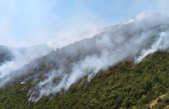 Shqipëria në flakë nga zjarret