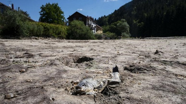 Franca po përjeton korrikun më të thatë në më shumë se 60 vjet