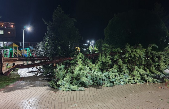 Erërat e fuqishme bëjnë dëme të mëdha në Kamenicë [Foto]