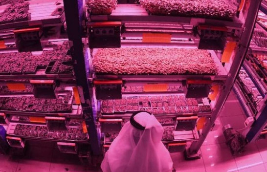 Fermat vertikale - Revolucioni i gjelbër në Dubai