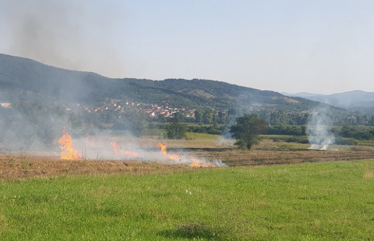 Vazhdon tradita e keqe e djegies së hamulloreve në arat e Kosovës