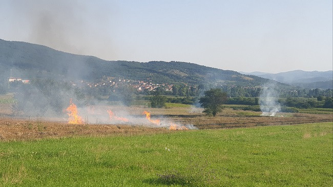 Vazhdon tradita e keqe e djegies së hamulloreve në arat e Kosovës