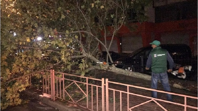 Stuhi shiu me era të forta, rrëzojnë pemët në Tiranë [Foto]