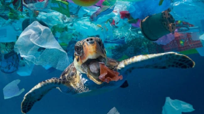 Studim: Më shumë se 14 milionë ton plastikë besohet të jenë në fund të oqeaneve