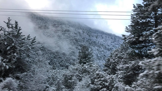 Llogara, e bukur në verë, mahnitëse në dimër [Video]