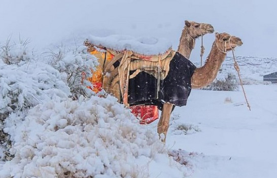 Çfarë po ndodh me motin në botë? Sahara mbulohet nga bora