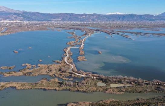 Laguna e Kune-Vainit në Lezhë, aty ku fillon historia e Zonave të Mbrojtura të Shqipërisë
